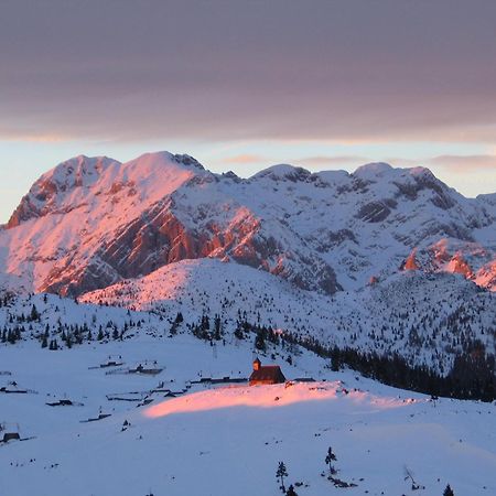 Velika Planina - Chalet Stane - Alps オスレンドネスロヴェンスカ エクステリア 写真