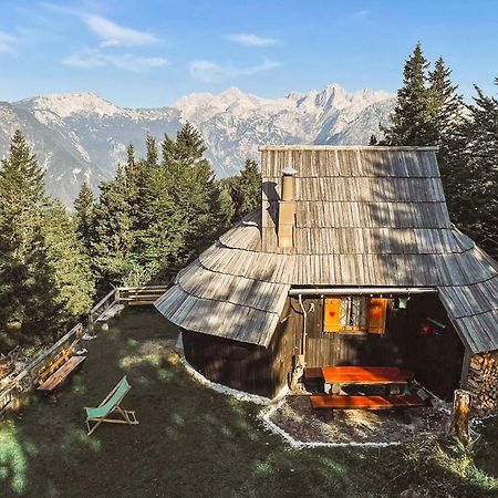 Velika Planina - Chalet Stane - Alps オスレンドネスロヴェンスカ エクステリア 写真
