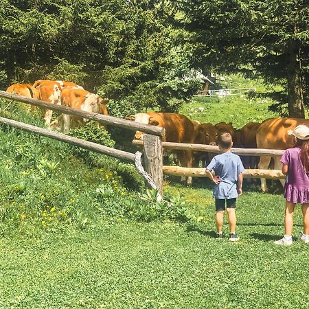 Velika Planina - Chalet Stane - Alps オスレンドネスロヴェンスカ エクステリア 写真