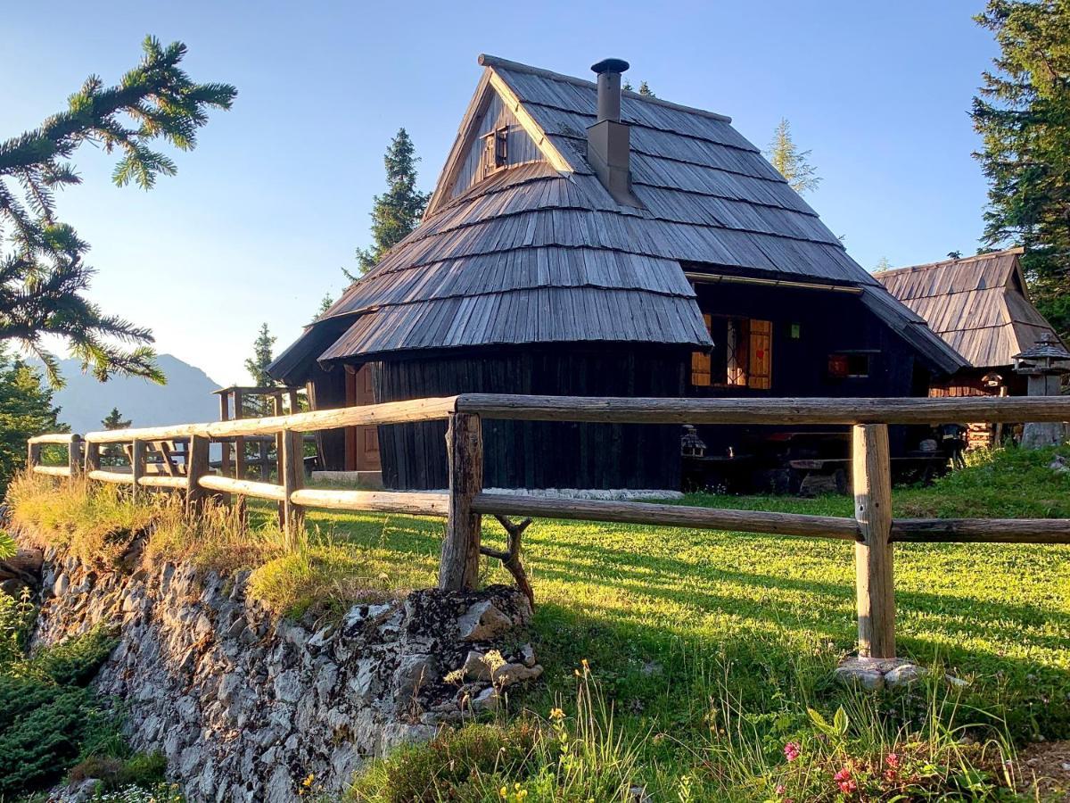 Velika Planina - Chalet Stane - Alps オスレンドネスロヴェンスカ エクステリア 写真