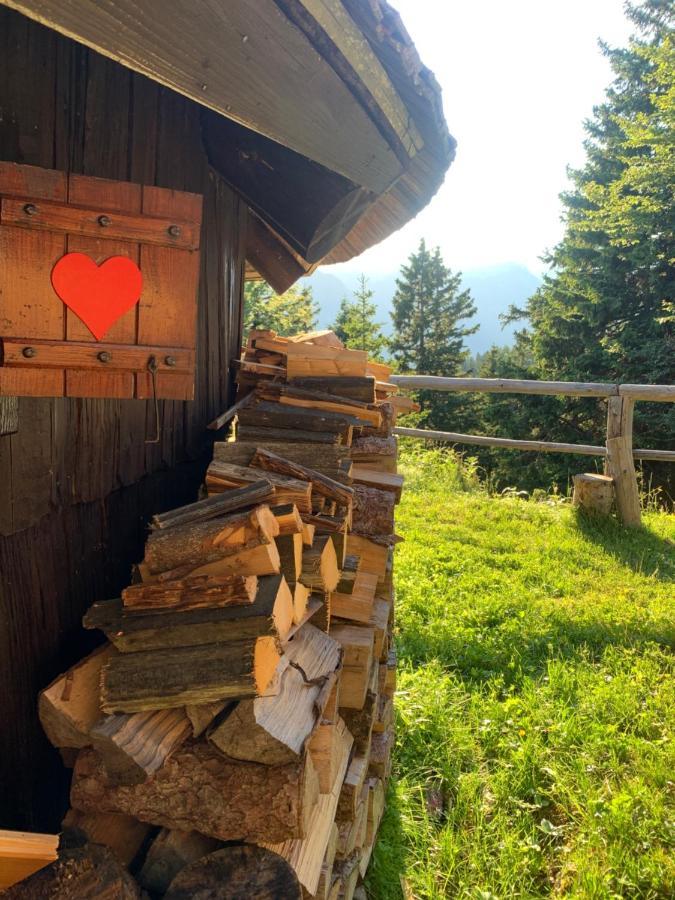 Velika Planina - Chalet Stane - Alps オスレンドネスロヴェンスカ エクステリア 写真