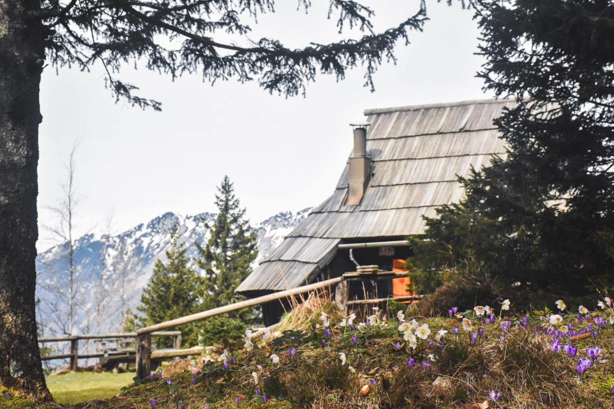 Velika Planina - Chalet Stane - Alps オスレンドネスロヴェンスカ エクステリア 写真