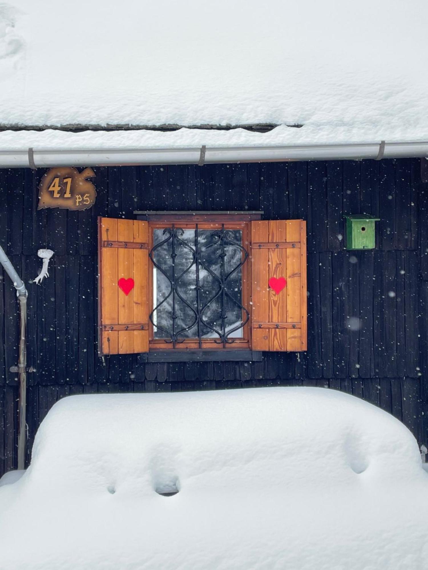 Velika Planina - Chalet Stane - Alps オスレンドネスロヴェンスカ エクステリア 写真