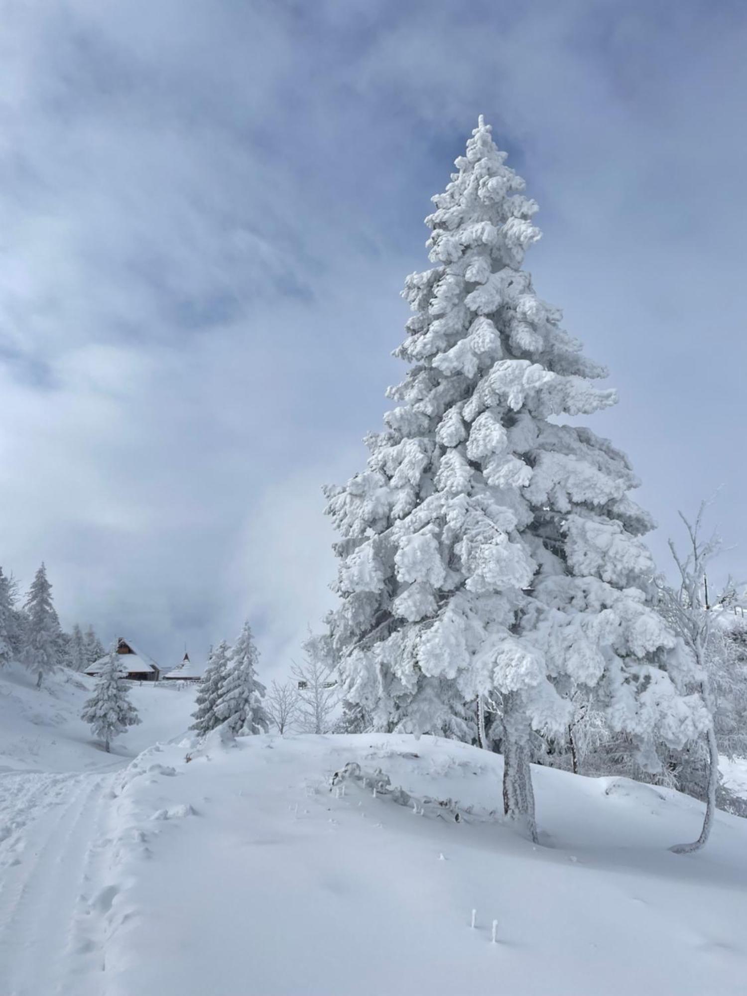 Velika Planina - Chalet Stane - Alps オスレンドネスロヴェンスカ エクステリア 写真