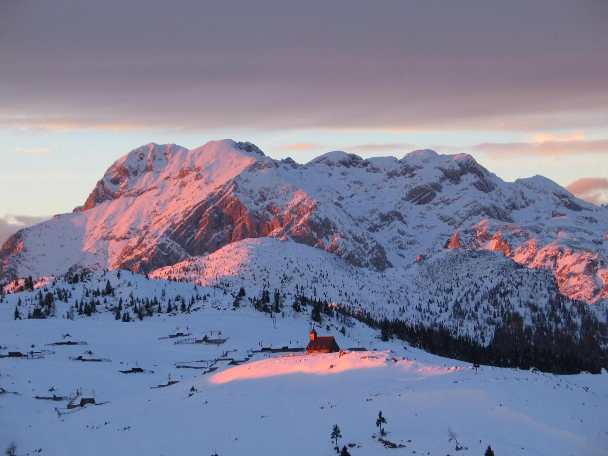 Velika Planina - Chalet Stane - Alps オスレンドネスロヴェンスカ エクステリア 写真